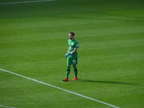 开云体育在线-热火强势奇才，布拉德利制霸全场