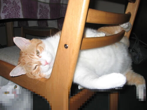 开云体育平台APP-绝境狂澜！门迪一球封神，洪都拉斯掀翻牙买加晋级决赛